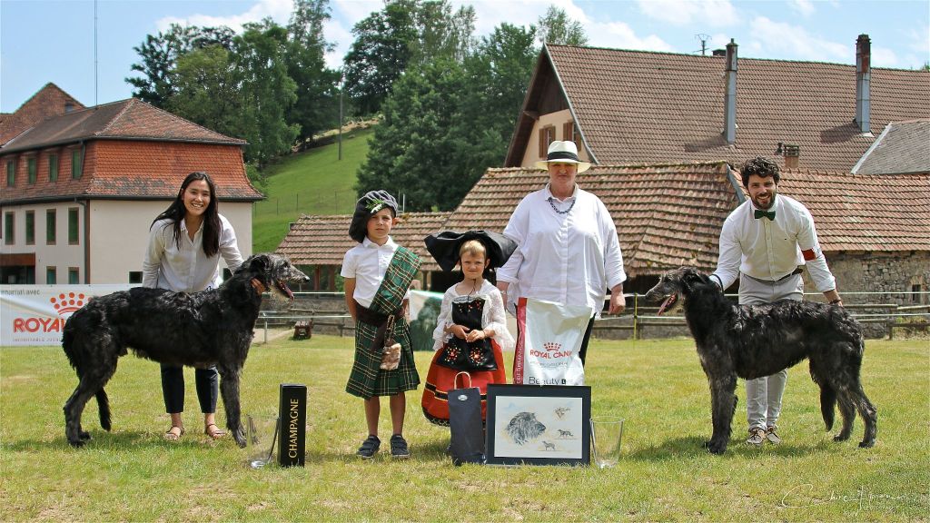 Antonius Vertragus - ANTIOPE et CUPIDON remportent la Nationale d'Elevage du Deerhound 2022