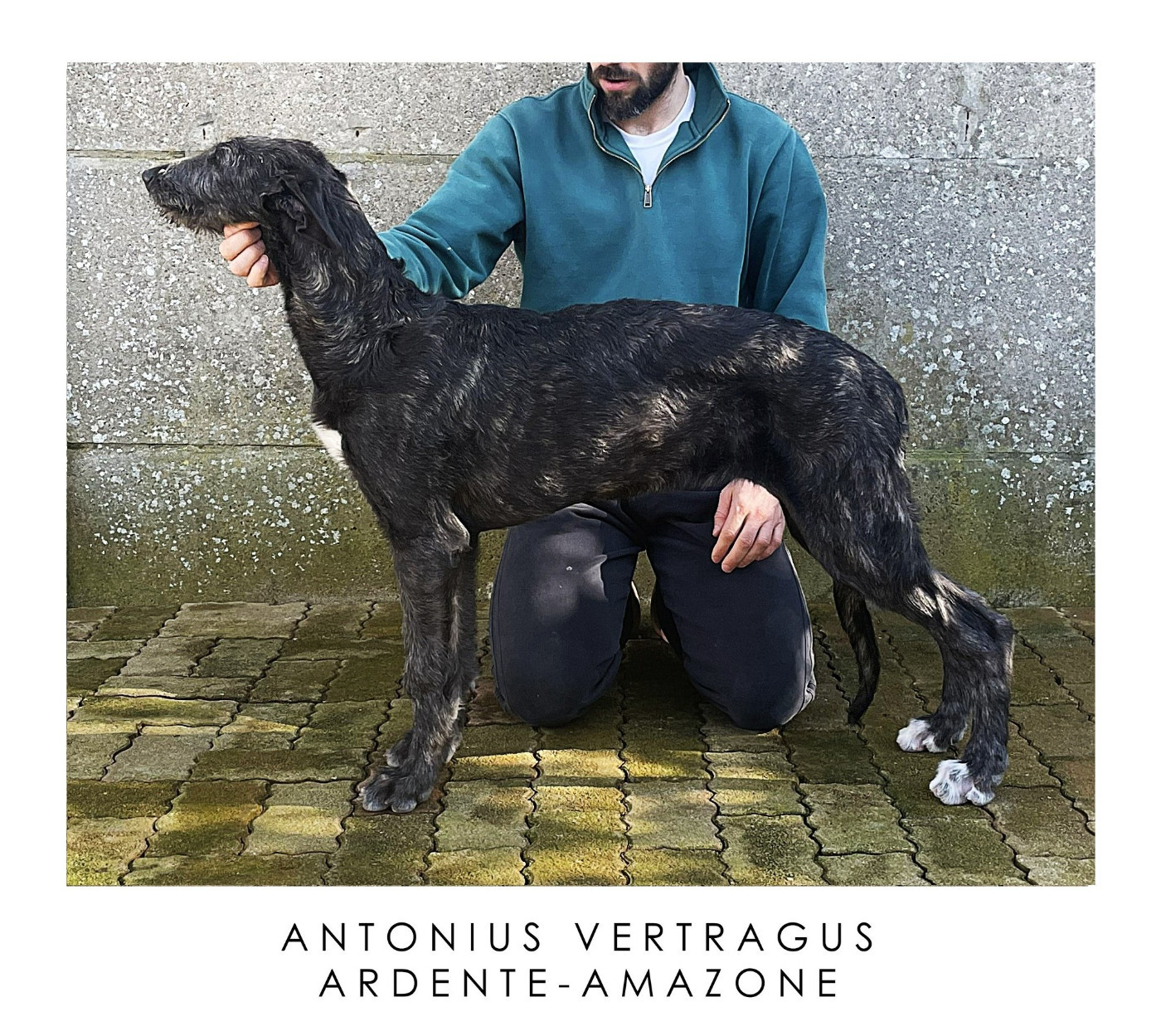 Aphrodite (4,5-months-old)