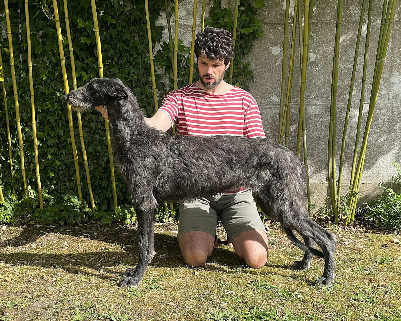 Artémis (6-months-old)