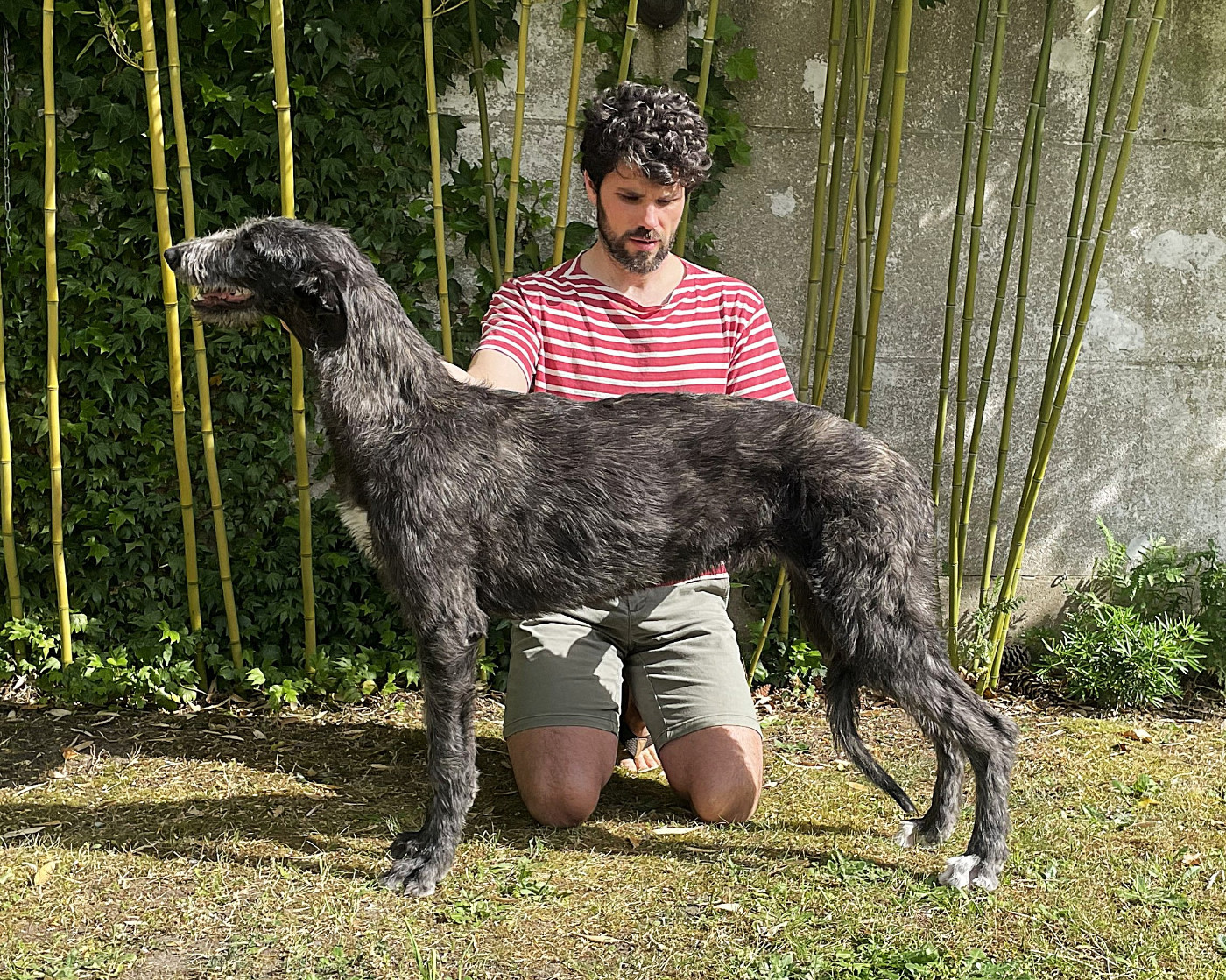 Aphrodite (6-months-old)